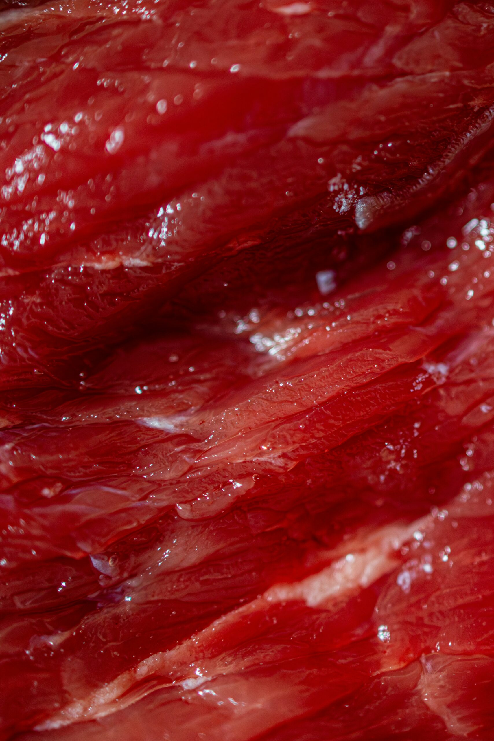 Steak végétal